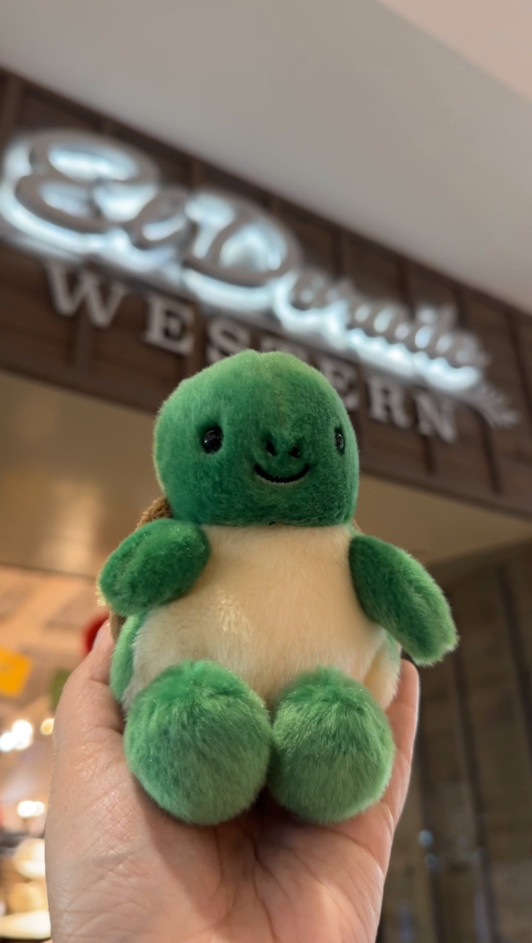 Benjamin the sea turtle - 5”