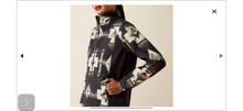Load image into Gallery viewer, Ariat Logo Softshell Print Jacket - Thornstone Print