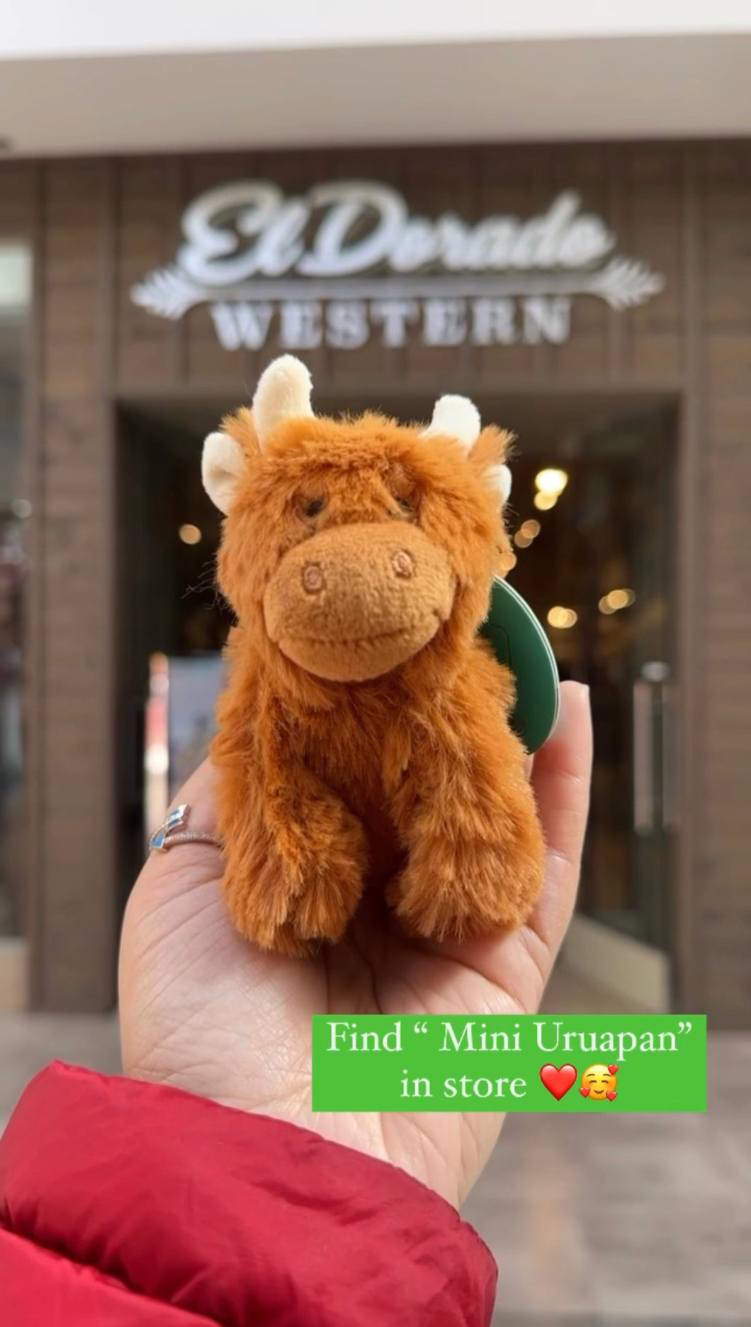 Uruapan - Mini highland cow plush Toy