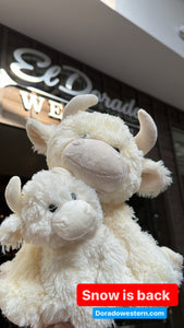 Snow the highland - 8 inches cow -